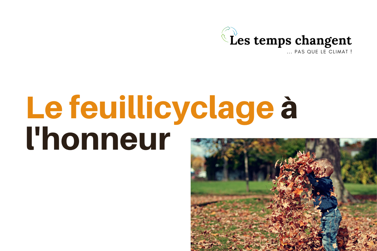 vignette web_septembre 2025
