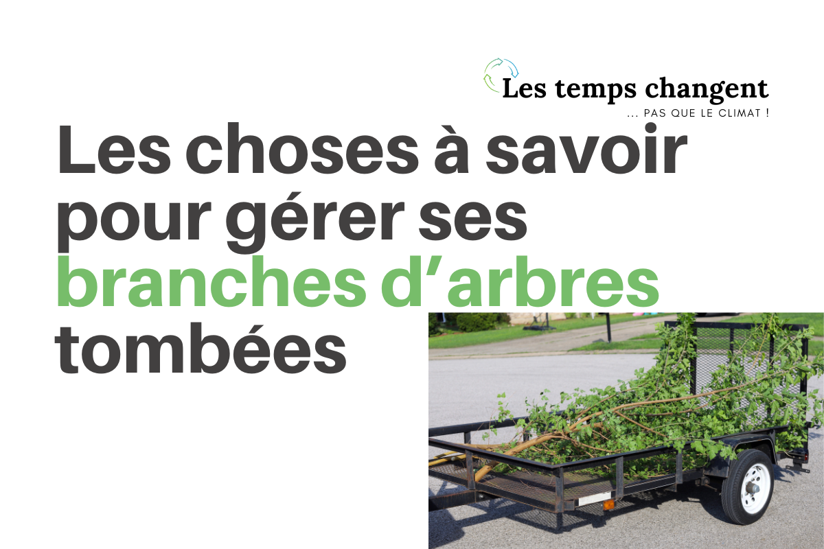 Astuces pratiques pour ménage du printemps brillant et écologique!